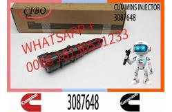 China Remanufactured High Quality Common Rail Diesel Fuel Injector 3087648 3406604 supplier