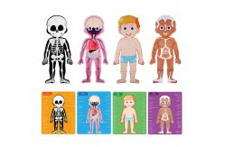 China Body Structure Anatomy Montessori Jigsaw Puzzles For Kids Preschool Learning supplier