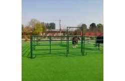 China Galvanized Portable Farm Yard Fence supplier
