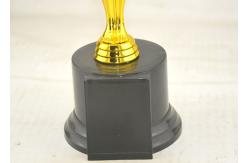 China 270mm Height figure Award Trophy Plastic Material Made With Blank Base supplier