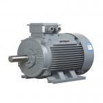 3 Phase Variable Speed Synchronous Motor for sale