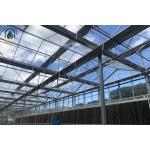 Multi Span Agricultural Large Glass Greenhouse Production Equipment For Tomato for sale