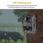 Sales Promotion 39USD Dual lens/Dual sensor Wildlife Game Camera 30MP 1080P No-Glow 940nm With Day And Night Sensor for sale