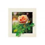 Eco Friendly Plastice 3D Lenticular Printing Service Picture Nature Landscape for sale