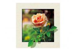 China Eco Friendly Plastice 3D Lenticular Printing Service Picture Nature Landscape supplier