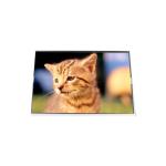 LP141WX5-TPP1 14.1 inch 1280*800 262K LCD display panel for sale