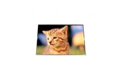 China LP141WX5-TPP1 14.1 inch 1280*800 262K LCD display panel supplier