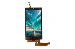 China Fingerprint Doorlock TFT Capacitive Touch Screen LCD IPS Display 5.5Inch Custom supplier