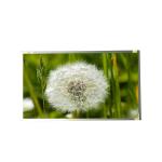 RGB 1920*1080 81PPI M270HW02 V3 TFT LCD Screen for sale
