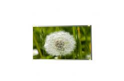 China RGB 1920*1080 81PPI M270HW02 V3 TFT LCD Screen supplier