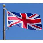 3x5 foot National Country Flag Customized Color for celebration for sale