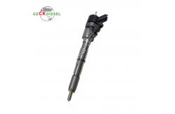 China Fuel Injector 0445110312 0445110075 0445110135 0445110356 for Bosch 110 Series supplier