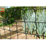 Plastic Farm Agricultural Netting For Gardening / Horticulture 2 Meters Height for sale