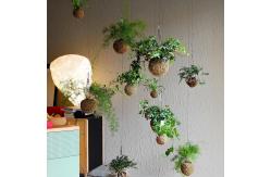 China Anti Aging Artificial Potted Plants Green Leaf Bar Music Restaurant Hanging Window Ceiling supplier