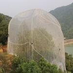 Ultra Fine HDPE Insect Netting For Vegetable Gardens Fruits Flowers Protection