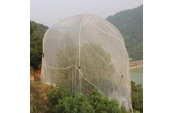 China Ultra Fine HDPE Insect Netting For Vegetable Gardens Fruits Flowers Protection supplier