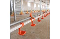 China Chicken Layer Disassembled Broiler Poultry Equipment , Nipple Drinking System supplier