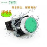 XB2B Push Button Switch Industrial Electrical Controls Illuminated Flush Head 24v 230v 1NO1NC