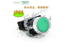 China XB2B Push Button Switch Industrial Electrical Controls Illuminated Flush Head 24v 230v 1NO1NC supplier