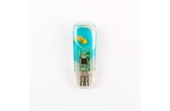 China Plastic USB Stick Inside Put Liquid Usb Flash Drive Customized Boat Inside supplier