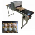 Egg Expiration Date Stamp Machine With Various Colors Food Grade Ink To Choose for sale