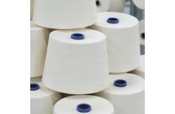 China 280D 100% 24F Spandex Yarn Loops Threads Rope For Knitting Weaving supplier