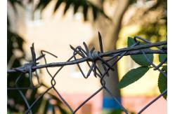 China Convenient and Easy to Maintain Barbed Wire for Security Needs supplier