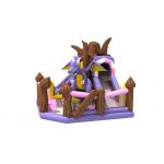 0.55mm PVC Inflatable Fun City Customized Charizard Dragon For Adults for sale
