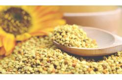 China Fresh mixed pollen Raw Bee Pollen Nourishing Food Natural Bee Pollen big granual supplier