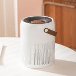 Plug-in Air Purifier with H13 HEPA Filter and Auto/Manual Modes for sale