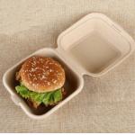 Customized Size Logo Biodegradable Sugarcane Syrup Burger Box