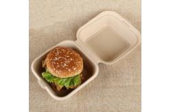 China Customized Size Logo Biodegradable Sugarcane Syrup Burger Box supplier