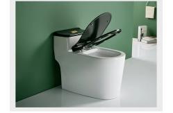 China One Piece Dual Flush Sanitary Ware Toilet Floor Mounted 3D Design supplier
