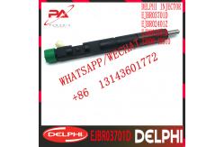 China Hyundai 2.9CRDI DELPHI Diesel Fuel Injector EJBR02401Z EJBR02901D HRD334 supplier