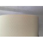 Plain Weave 09502 Polyester Mesh Belt For Garlic Drying for sale