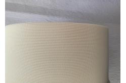 China Plain Weave 09502 Polyester Mesh Belt For Garlic Drying supplier