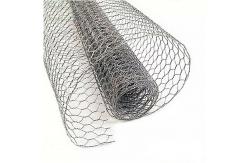 China TLSW Galvanized Hexagonal Wire Netting Chicken Wire Mesh BWG22 supplier
