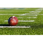 PE Material Football Artificial Turf Baseball Field Artificial Turf For Green Residential Area for sale