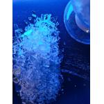 83/17 Polyester Resin For PU Based Formulation Excellent Leveling