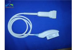China 40mm Linear Array Transducer GE 10Lb RS for Musculoskeletal Scanning supplier