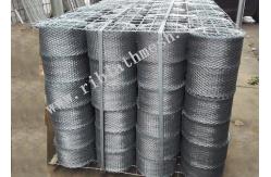China 10cm Width Galvanized 100m Length Brickwork Reinforcement Mesh supplier