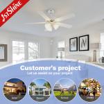 Lighting Solutions Service Lighting and Circuitry Design for 1stshine Ceiling Fan Light