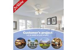 China Lighting Solutions Service Lighting and Circuitry Design for 1stshine Ceiling Fan Light supplier