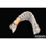 Stable Oral Structure For Dental Professionals In Firmly Connect The Row Teeth for sale