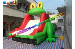 China Customized Frog Commercial Inflatable Slide , Dry Slide For Pool Use supplier