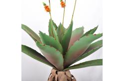 China Custom 8.3'' Height Artificial Foliage Tree For Bedroom Balcony supplier