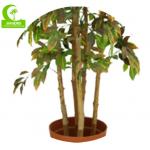 Luxury Height 170cm Artificial Ficus Tree For House Decoration