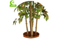 China Luxury Height 170cm Artificial Ficus Tree For House Decoration supplier