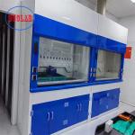 Integrated Structure Laboratory Chemical Hood With Scruuber Tank ODM