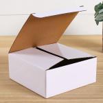 White Corrugated Mailer Boxes Glossy Or Matte Lamination With Your Branding for sale